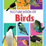 MY FIRST PICTURE BOOK OF BIRDS 32 210 X