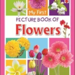 MY FIRST PICTURE BOOK OF VEHICLES 32 210 X